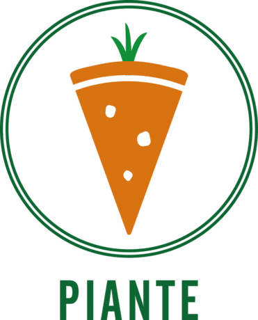 Piante Pizzeria